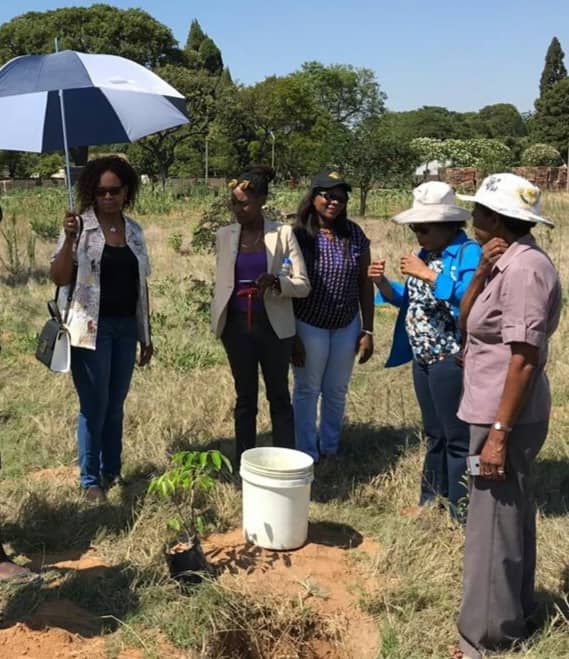 Joint tree planting Hatfield children’s home by Harare 2018/2019 Rotary Presidents